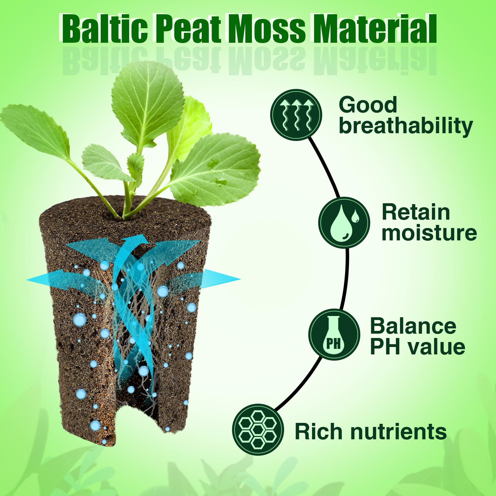 50 Pcs Rooting Sponges for Plants - Seed Starter Plugs for Seedlings & Cuttings, Rapid Rooting in Soil/Tray/Pods, Promotes Herb Vegetable Flower Growth - Ideal for Hydroponics, Indoor Gardening & Greenhouse Planting