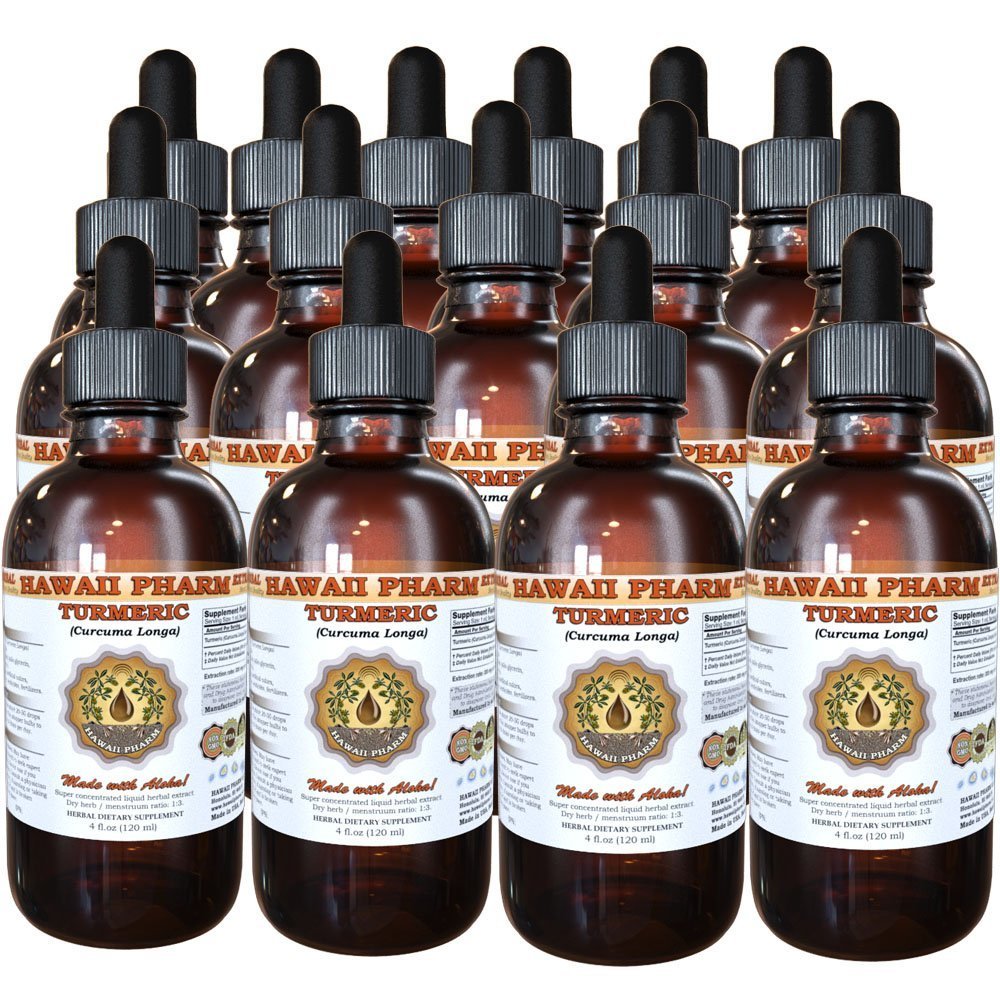 Organic Turmeric (Curcuma Longa) Liquid Extract Tincture - Herbal Supplement by Hawaii Pharm | Made in USA | 4 fl.oz Bottle (Pack of 15) | Supports Joint Health & Digestion | Perfect for Smoothies, Teas & Wellness Routines