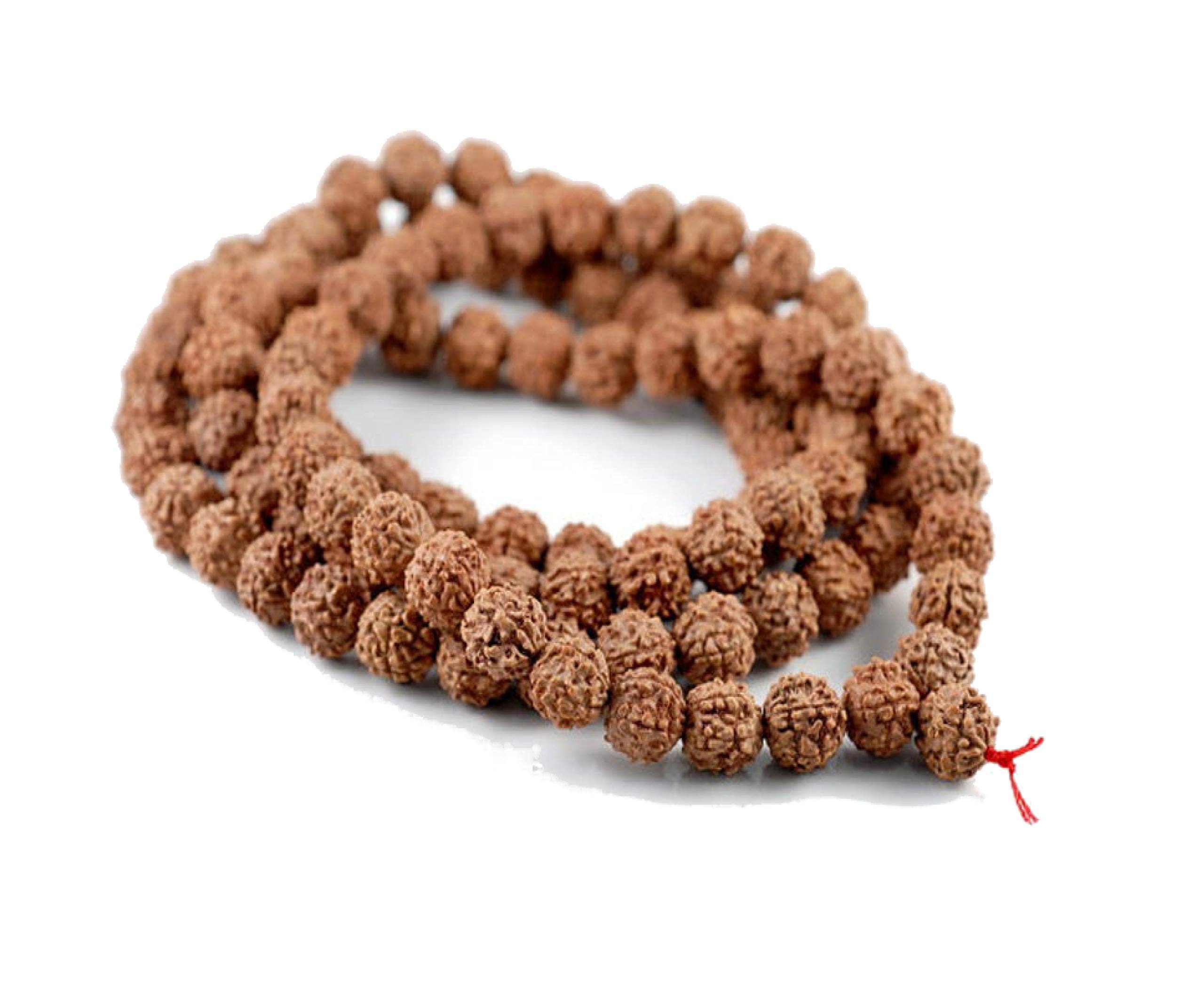 1000 Pcs Natural Rudraksha Beads (6mm) for Meditation & Jewelry Making - Premium Loose Rudraksh Seeds from India - Perfect for Mala Bracelets, Prayer Beads & Spiritual Crafts