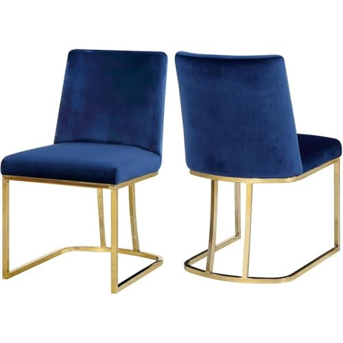 Navy and Gold