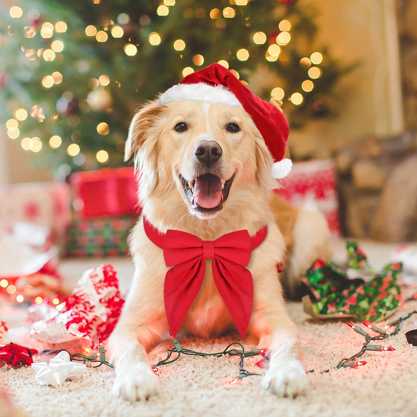 Malier Christmas Dog Collar with Bow Tie - Adjustable Holiday Pet Collar for Small Medium Large Dogs & Cats (Red, Large) | Perfect for Christmas Photos, Parties & Festive Pet Outfits
