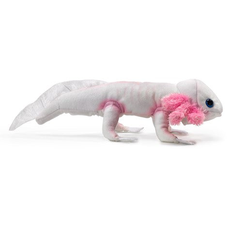 Live Axolotl for Sale - Rare Mexican Walking Fish - Perfect for Aquariums, Science Projects & Exotic Pet Lovers