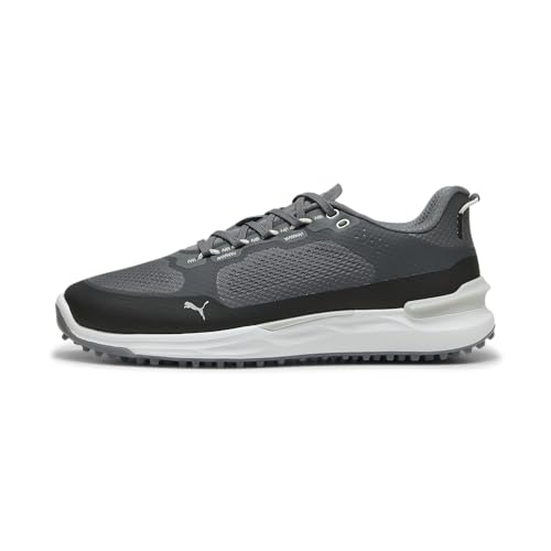 Slate Sky-puma Black-ash Gray