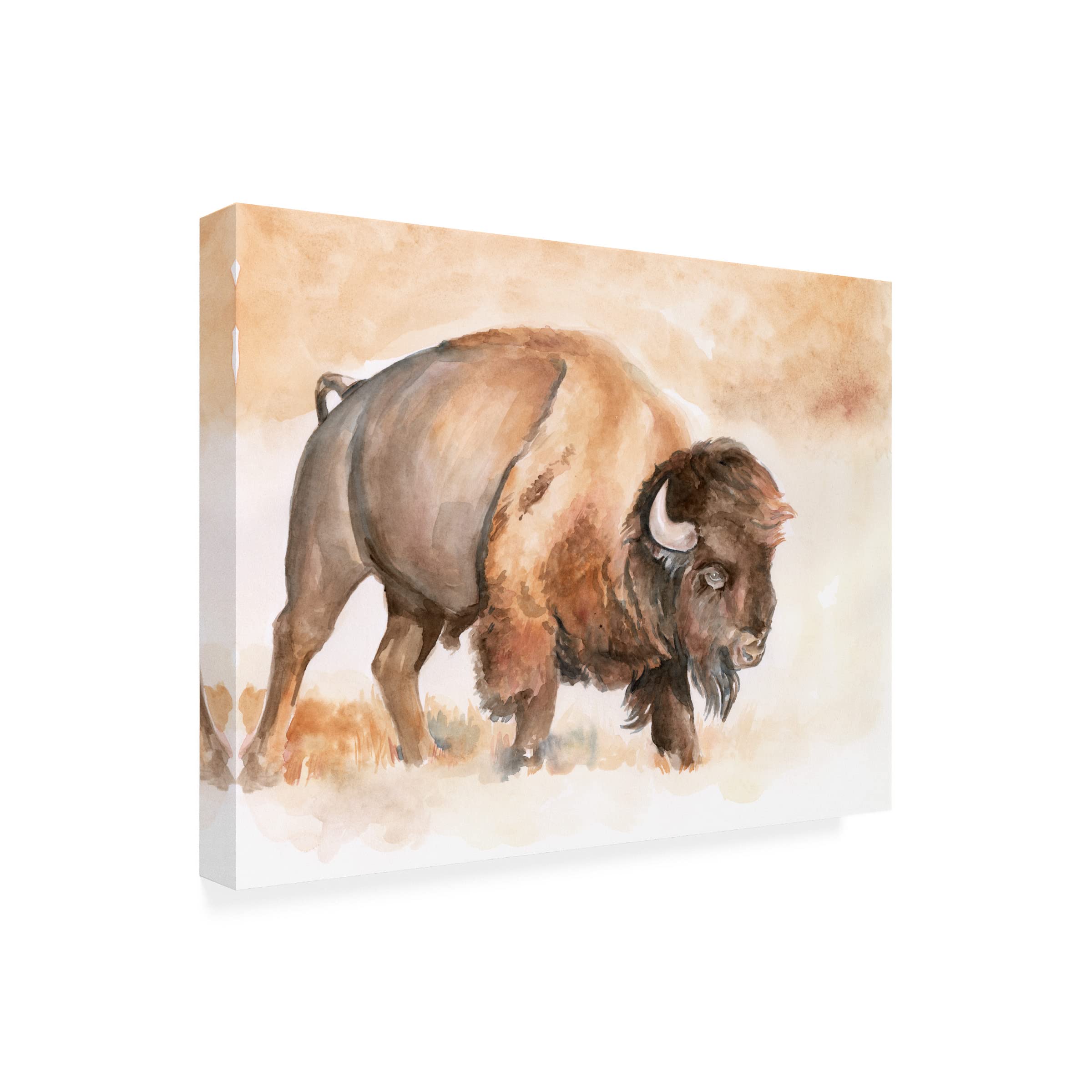 Buffalo Roam II Canvas Art Print by Jennifer Paxton Parker - Western Wildlife Wall Decor for Living Room, Office & Cabin - Premium Trademark Fine Art Collection