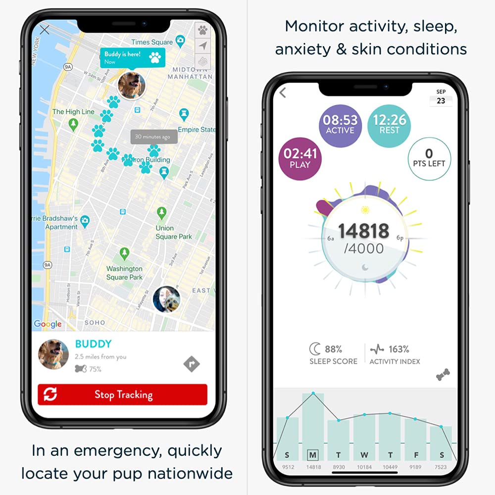 **Seresto 8-Month Flea & Tick Collar for Large Dogs (18+ lbs) & FitBark GPS Dog Tracker Bundle – Free 1-Year GPS Subscription ($255.33 Value) – Ideal for Outdoor Adventures & Pet Safety**