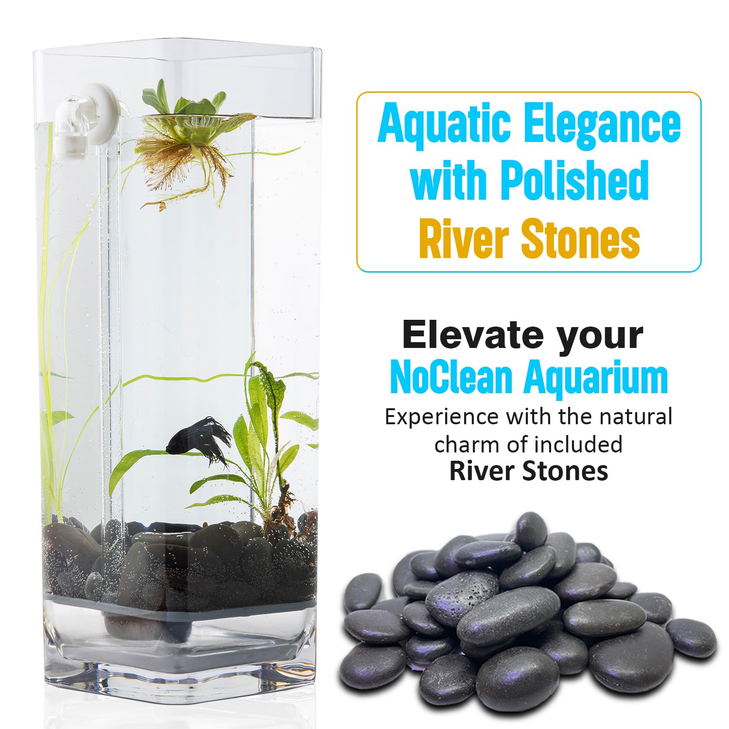 Eco-Friendly Self-Cleaning Betta Fish Tank Kit with Natural River Stones & Fish Food - Perfect for Home, Office Desk & Small Space Aquarium Setup