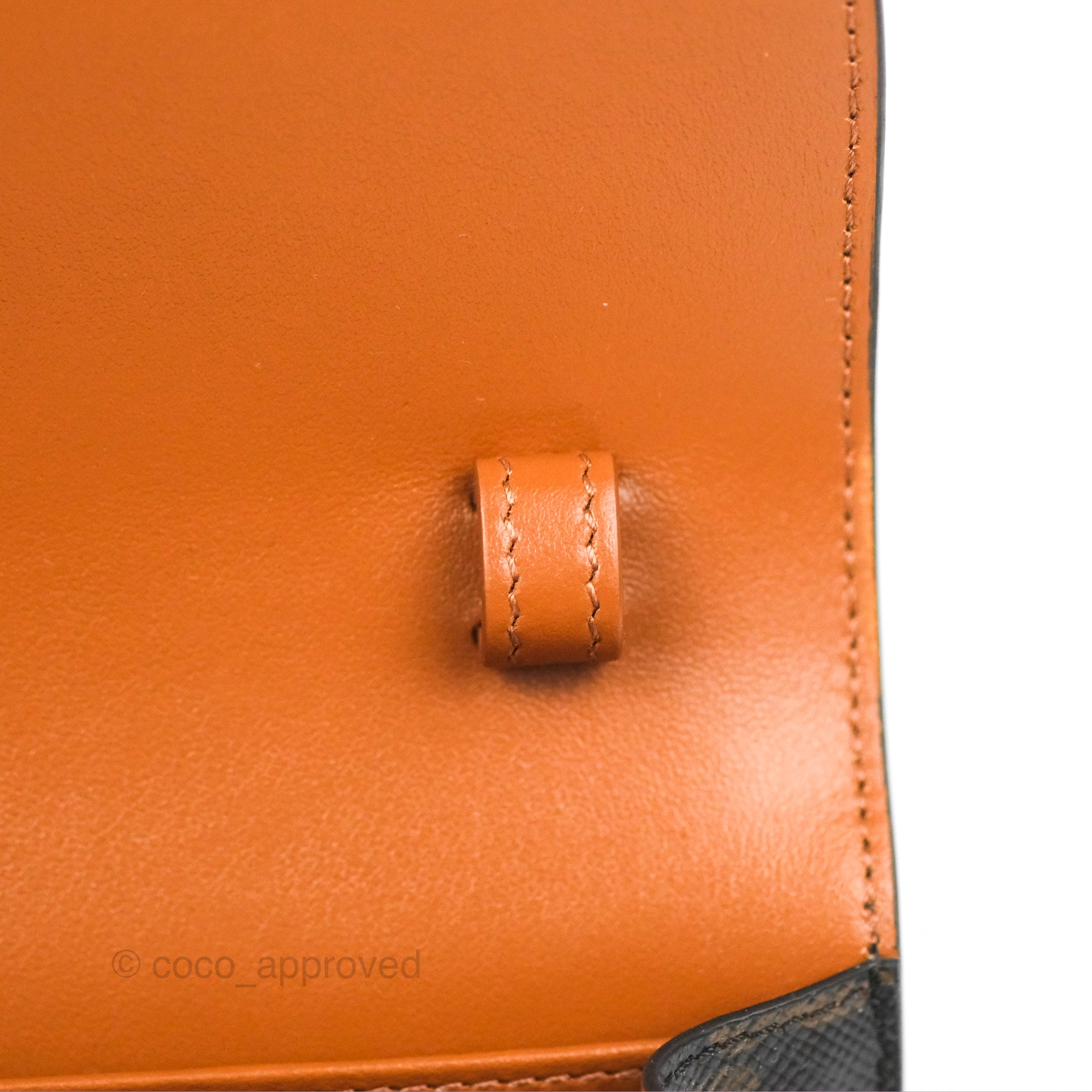 Celine Triomphe Canvas Wallet On Strap - Tan Lambskin Crossbody Bag for Women | Perfect for Everyday Use, Travel & Special Occasions
