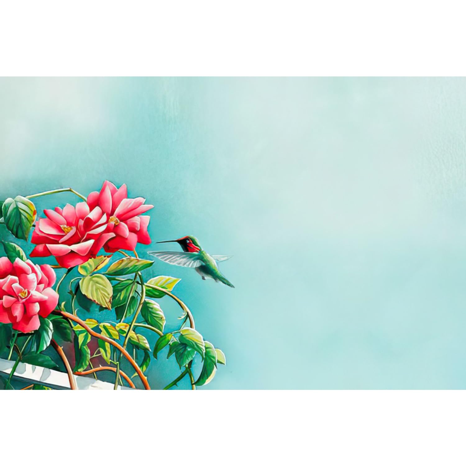 Leanin' Tree Hummingbird Blank Note Cards Set - 20 Elegant Stationery Cards & 22 Envelopes for Personalized Messages, Thank You Notes, Wedding Invitations - Perfect for Birthdays, Anniversaries & Special Occasions