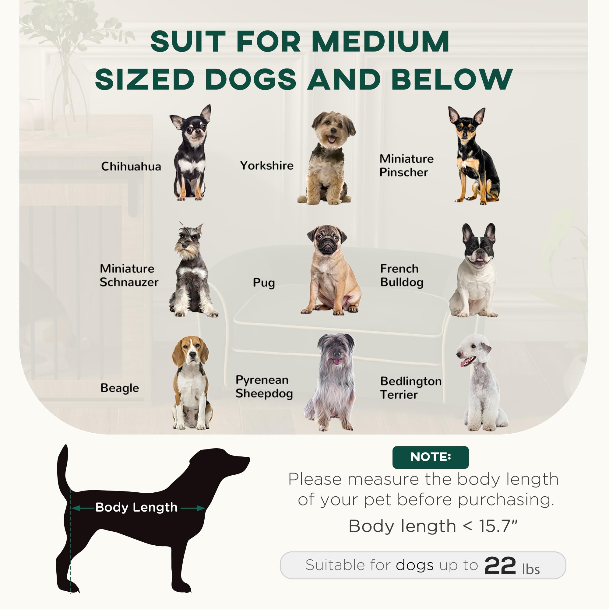 PawHut Modern Dog Sofa Bed for Small & Medium Dogs - Soft Cushion with Washable Removable Cover, Dark Green - Cozy Pet Couch for Living Room, Bedroom & Apartment