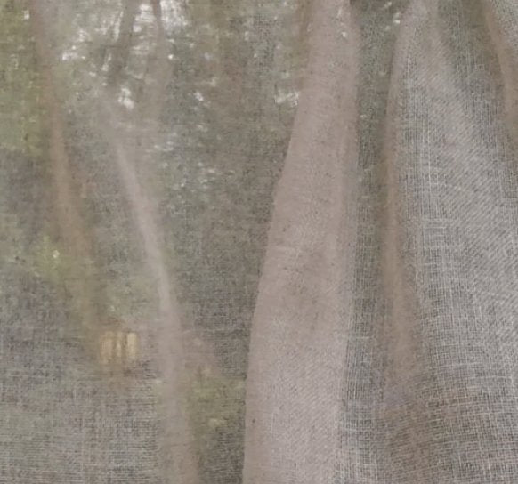 Sheer Ivory