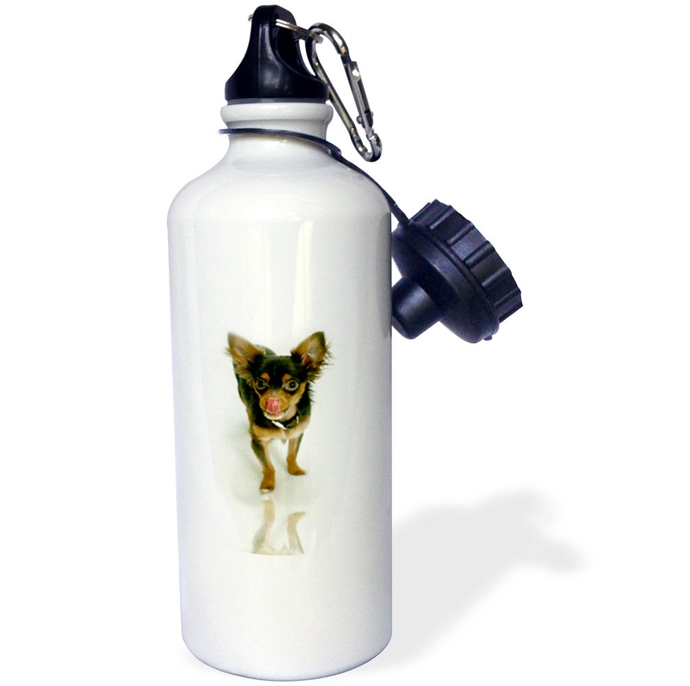 3D Long Hair Chihuahua Sports Water Bottle - 21oz Insulated Stainless Steel Gym Bottle for Running, Cycling & Outdoor Activities - White