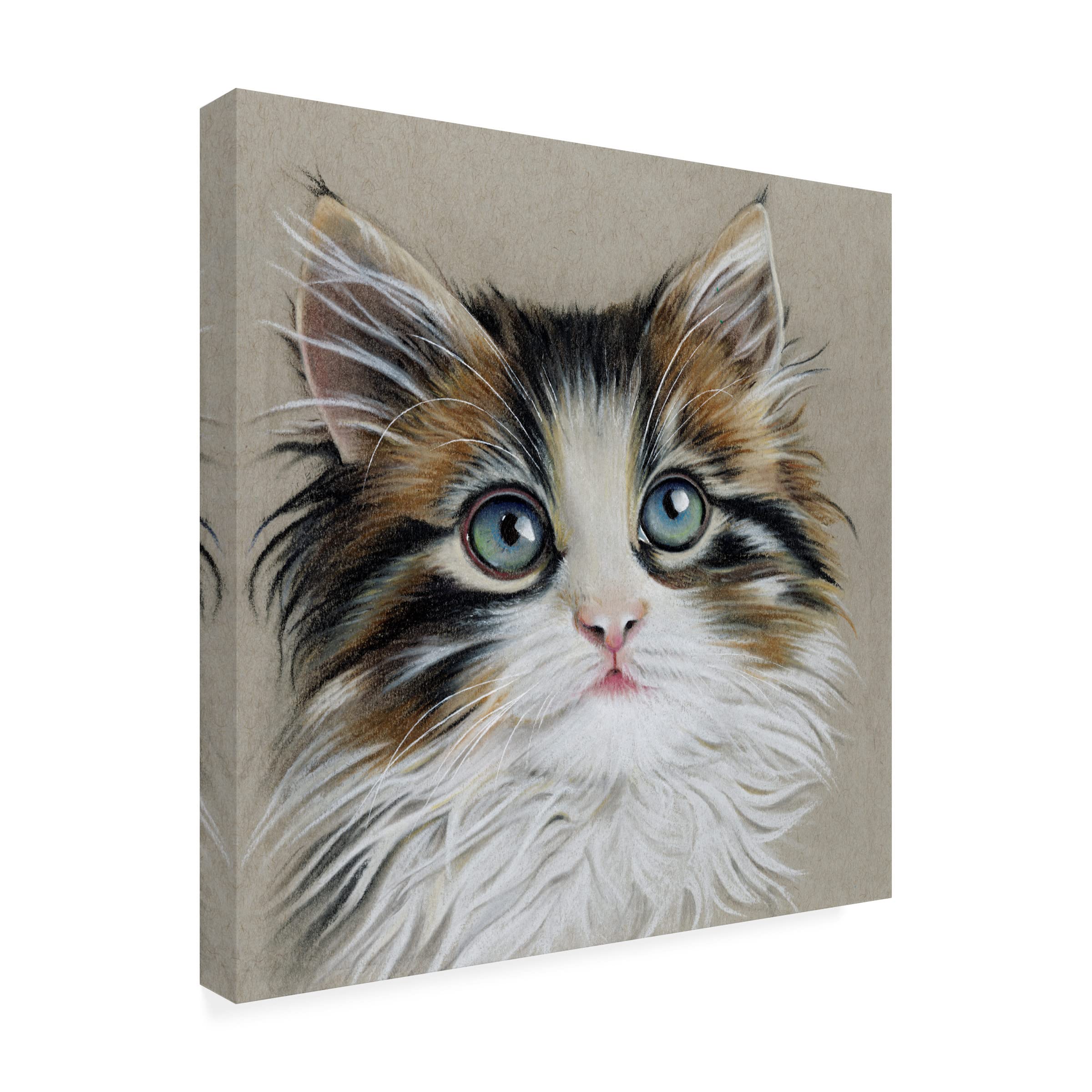 Trademark Fine Art 'Kitten Portrait II' by Lily Liama - Stretched Canvas Wall Art for Living Room, Bedroom & Office Decor