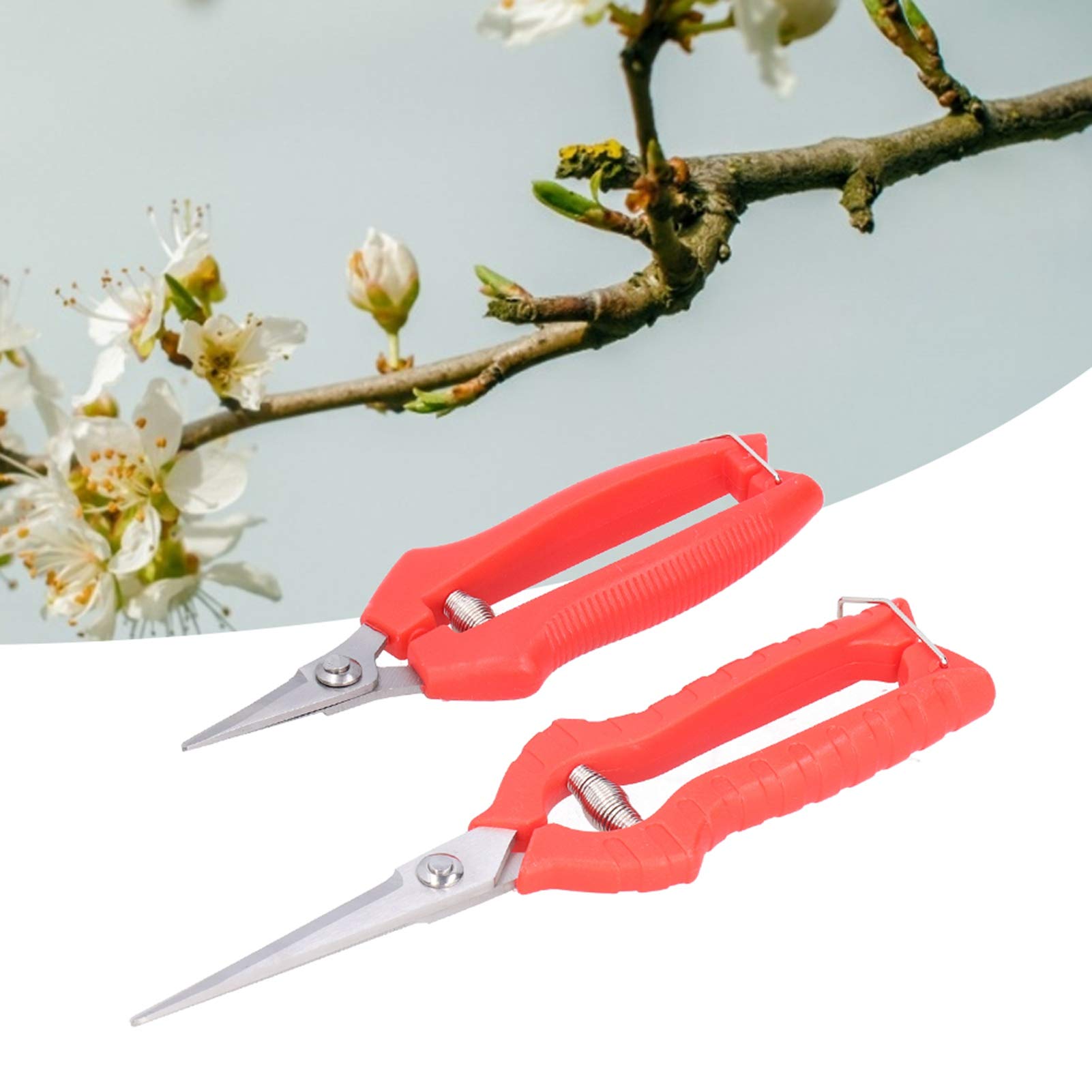 Premium Garden Shears & Hedge Trimmers - Sharp Bonsai Clippers for Pruning, Trimming & Shaping - Perfect for Gardening, Landscaping & Bonsai Tree Care