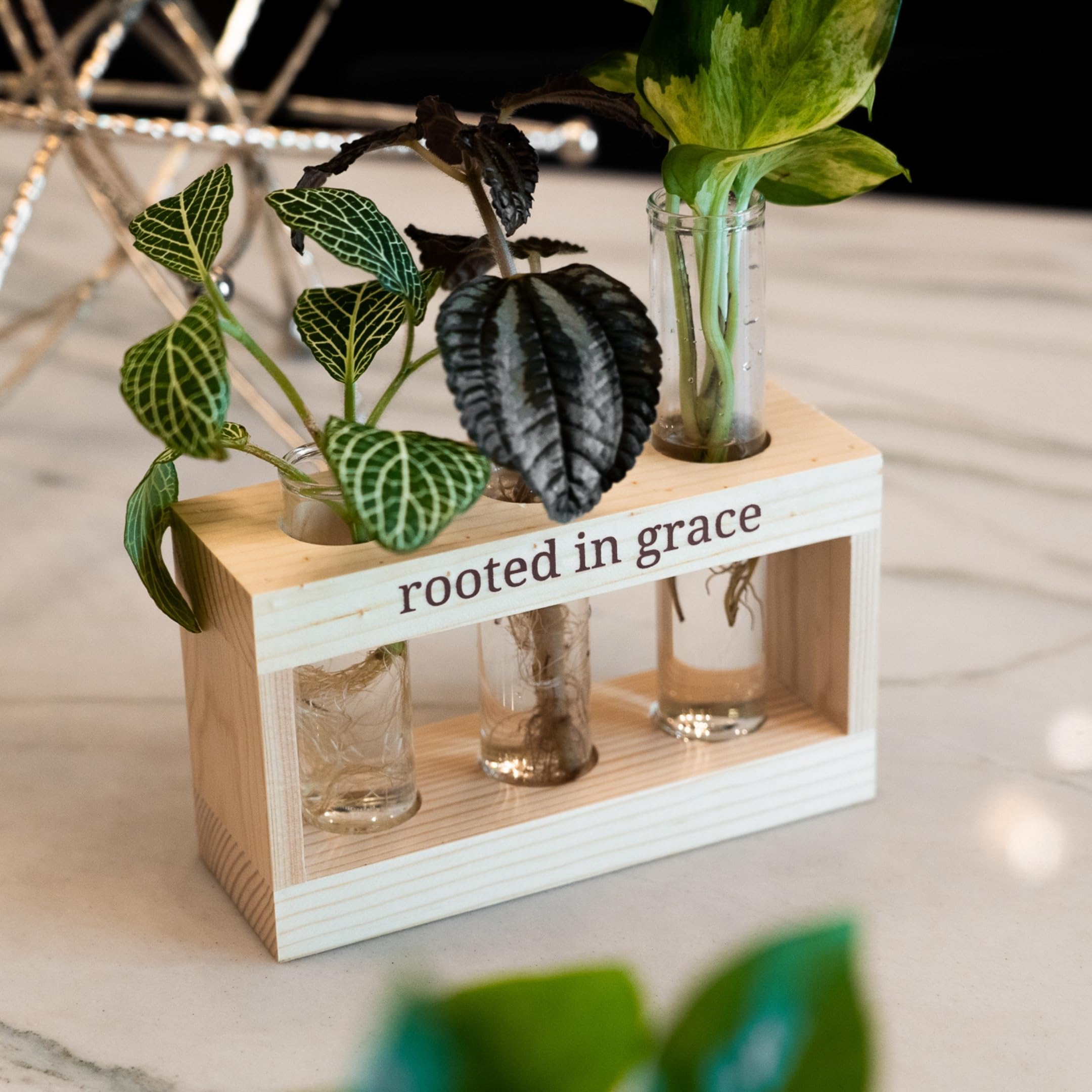 Rooted in Grace: Plant Propagation Station with Glass Vases - Unique Christian Gift Set for Women & Moms, Indoor Planter & Home Decor for Faith-Inspired Living Rooms, Kitchens, or Office Spaces