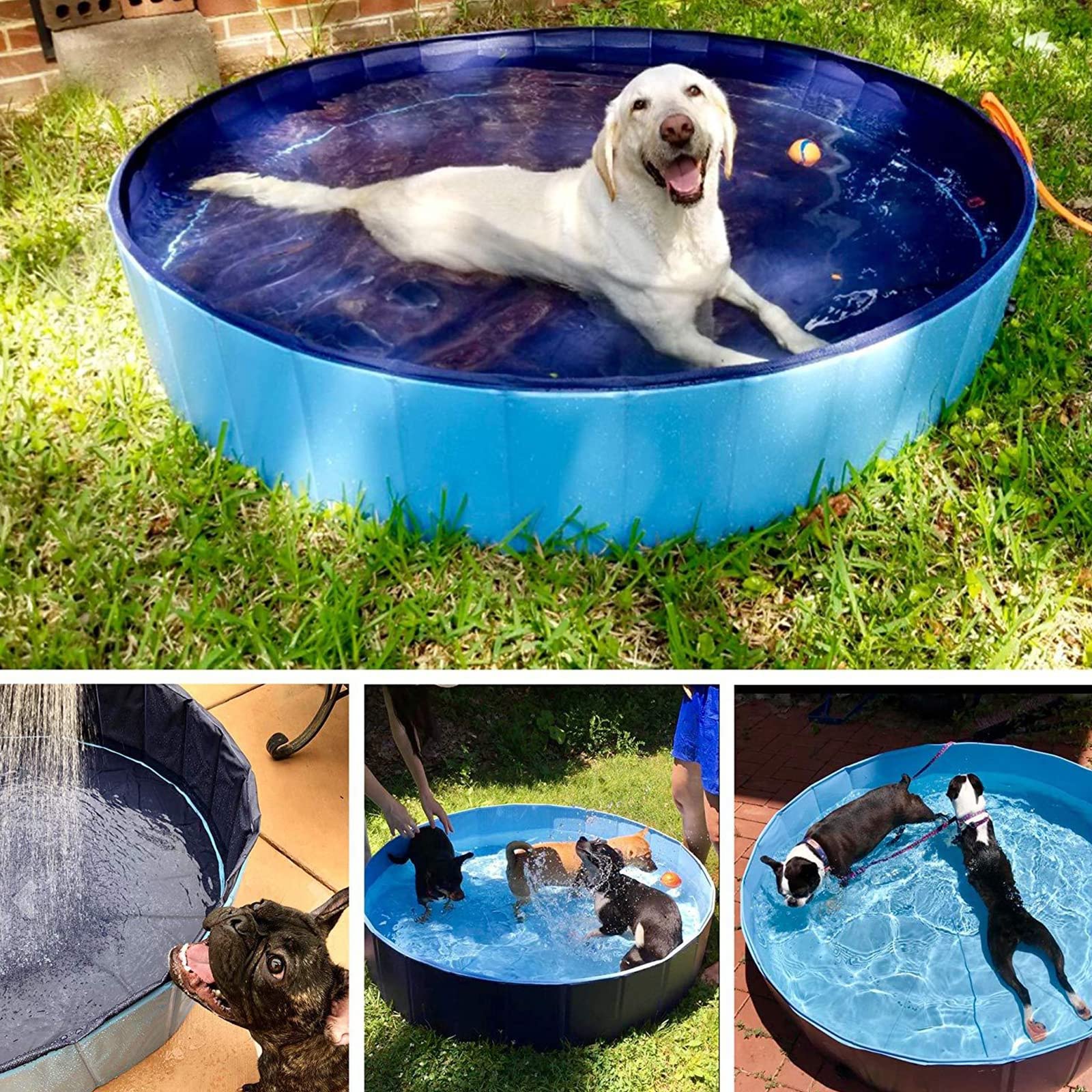 Foldable Dog Pet Bath Pool - Portable Hard Plastic PVC Pet Bathing Tub for Dogs, Cats & Kids | Collapsible Outdoor Swimming Pool with Slip-Resistant Design | Perfect for Backyard, Beach & Travel Use
