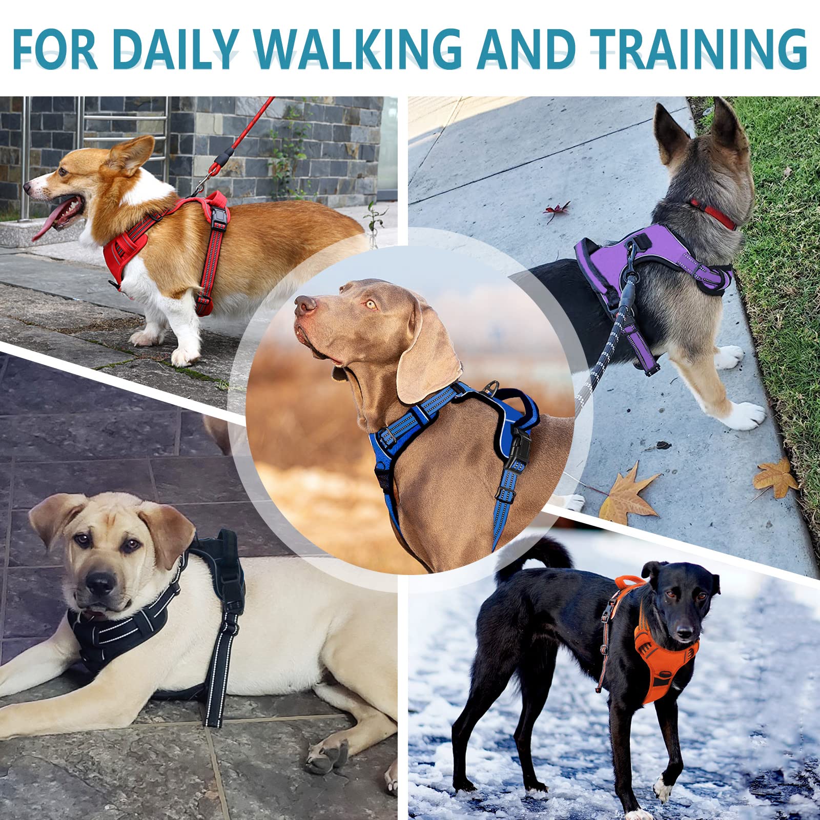 No Pull Dog Harness for Small Medium Large Dogs - Adjustable Reflective Pet Vest with Front Clip & Padded Design - Easy Control Handle for Outdoor Training, Walking & Hiking (Purple) - Perfect for Daily Walks, Jogging & Pet Adventures