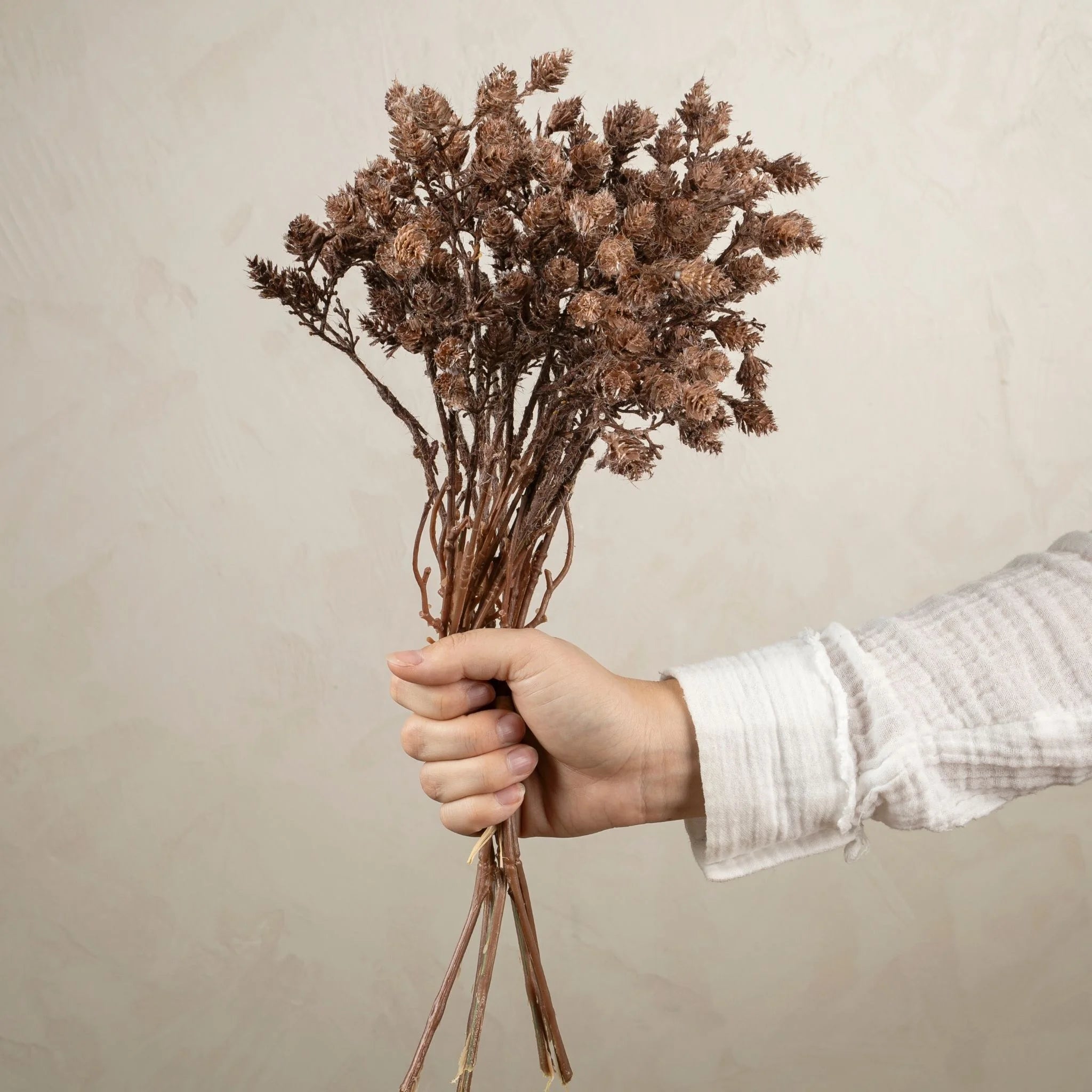 Natural Dried Wild Grass Bundle - Brown Decorative Grass for Home & Wedding Decor | Perfect for Centerpieces, Floral Arrangements, and Rustic Themed Events