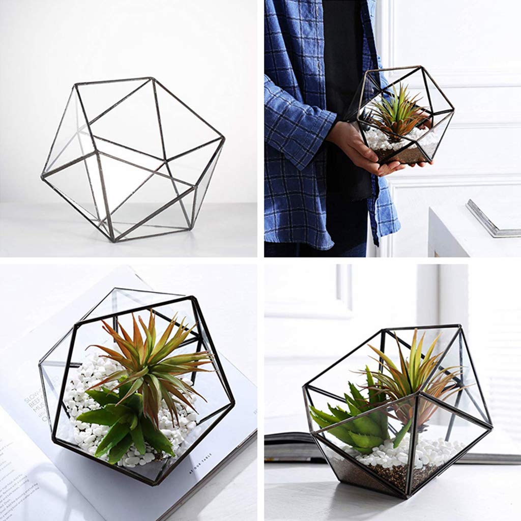 Glass Geometric Terrarium Box - Jewelry Holder & Succulent Planter for Home Decor (Black/Gold, No Plant Included) | Perfect for Tabletop Display, Wedding Centerpieces, and Office Desk Decor