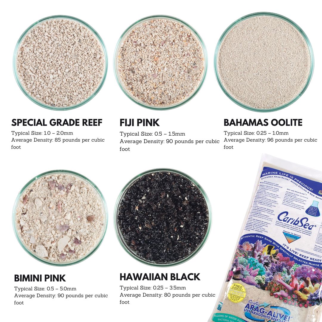 Caribsea Aragalive Bahamas Oolite Live Sand - 10/20lbs for Saltwater Aquariums, Reef Tanks & Marine Fish Habitats - Natural Substrate for Healthy Coral Growth & Water Filtration