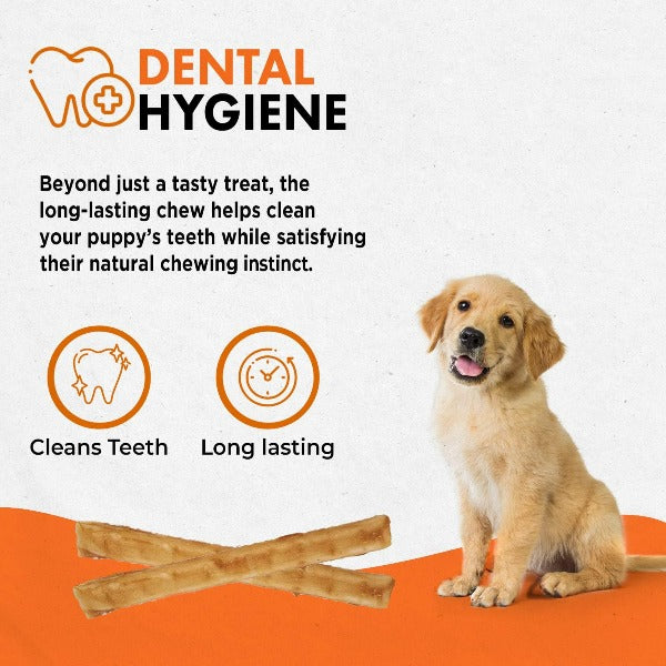 Natural Chicken Sticks for Puppies - Hide-Free Dog Chews - Healthy & Safe Puppy Treats for Training, Teething, and Dental Care