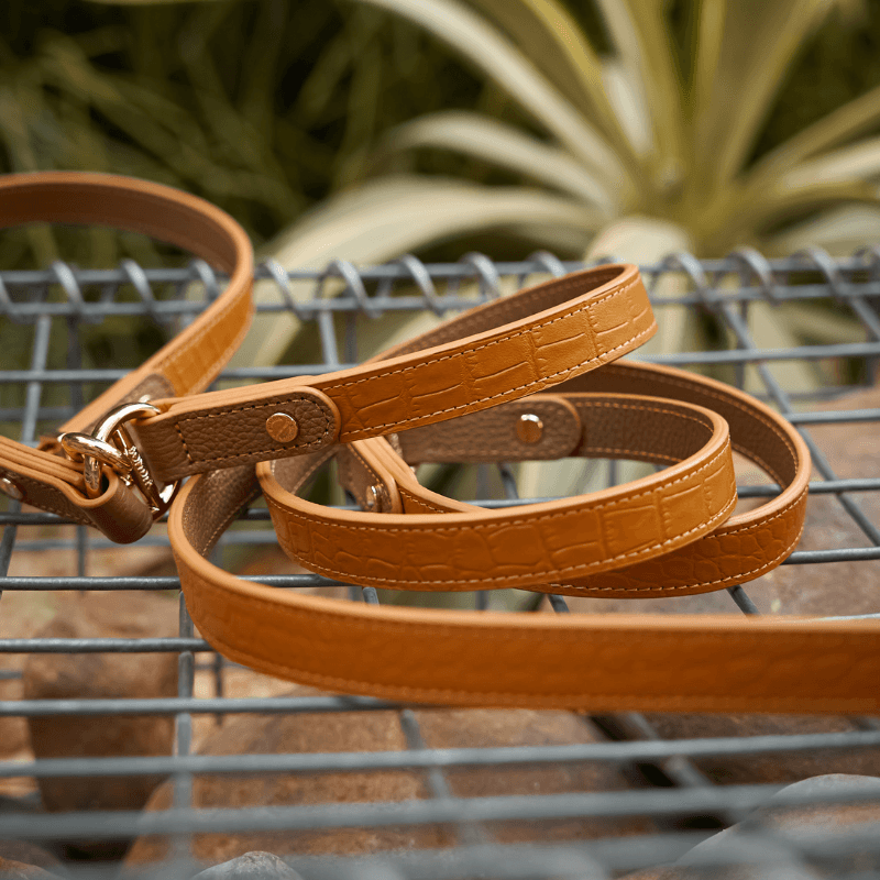 Hands Free Dog Leash - Adjustable Waist Leash for Running, Walking & Training - Reflective & Durable for Small Medium Large Dogs - Perfect for Jogging, Hiking & Outdoor Adventures