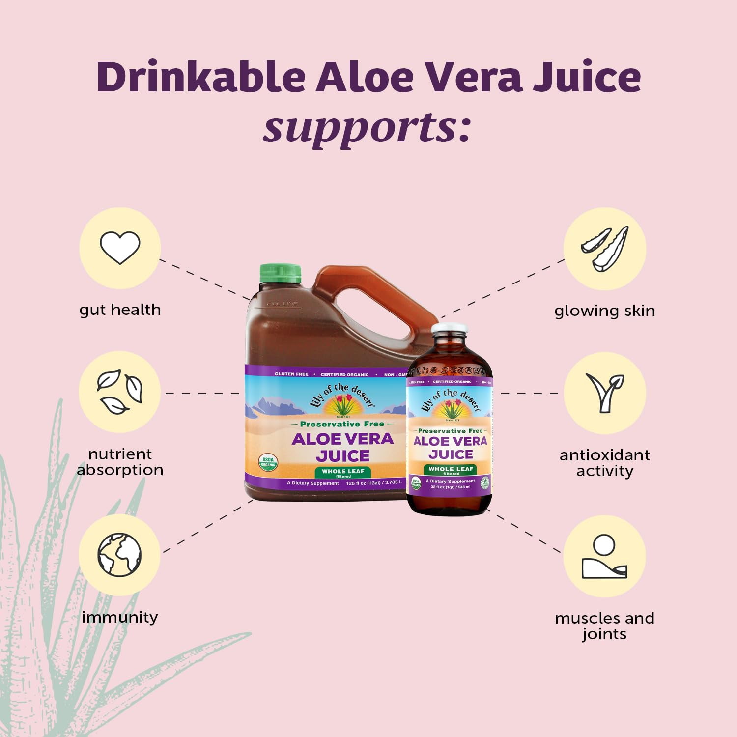 Lily of the Desert Whole Leaf Filtered Aloe Vera Juice Drink - 128 Fl Oz, Non-GMO, Rich in Natural Vitamins & Digestive Enzymes for Gut Health, Stomach Relief & Glowing Skin | Perfect for Daily Wellness, Detox & Hydration