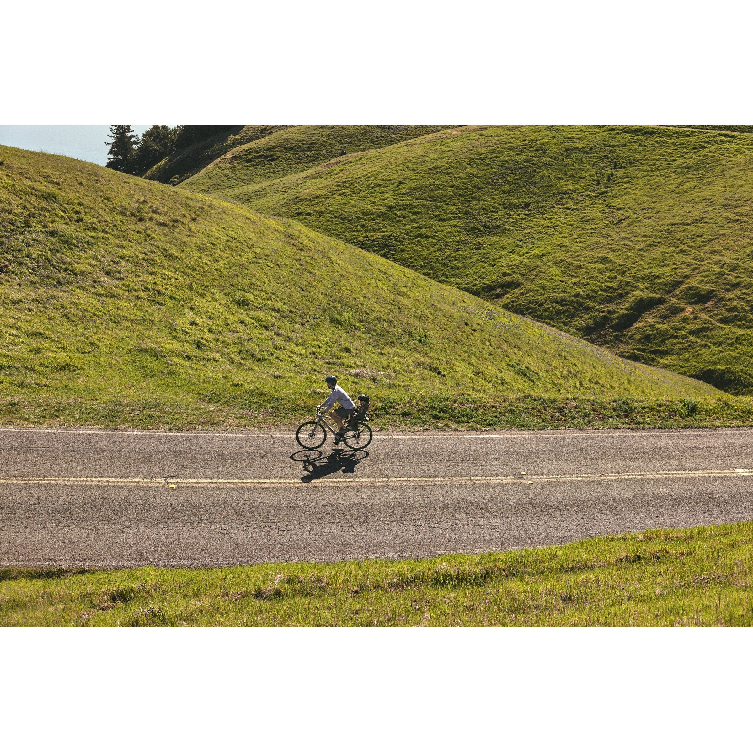 Veer & Bike Mount for Switchback Seat - Universal Bike Accessory for Secure Phone & Camera Mounting - Perfect for Cycling, Commuting & Outdoor Adventures