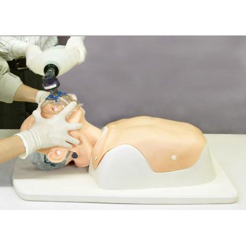 Difficult Airway Management Simulator - High-Fidelity Medical Training Model for Anesthesia & Emergency Practice - Perfect for Hospitals, Medical Schools & Residency Programs