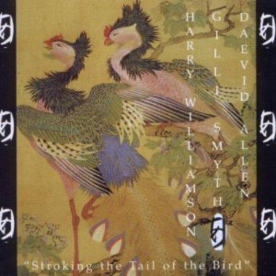 Daevid Allen Gong - Stroking the Tail of the Bird - Meditation & Sound Healing Instrument for Yoga, Reiki & Relaxation