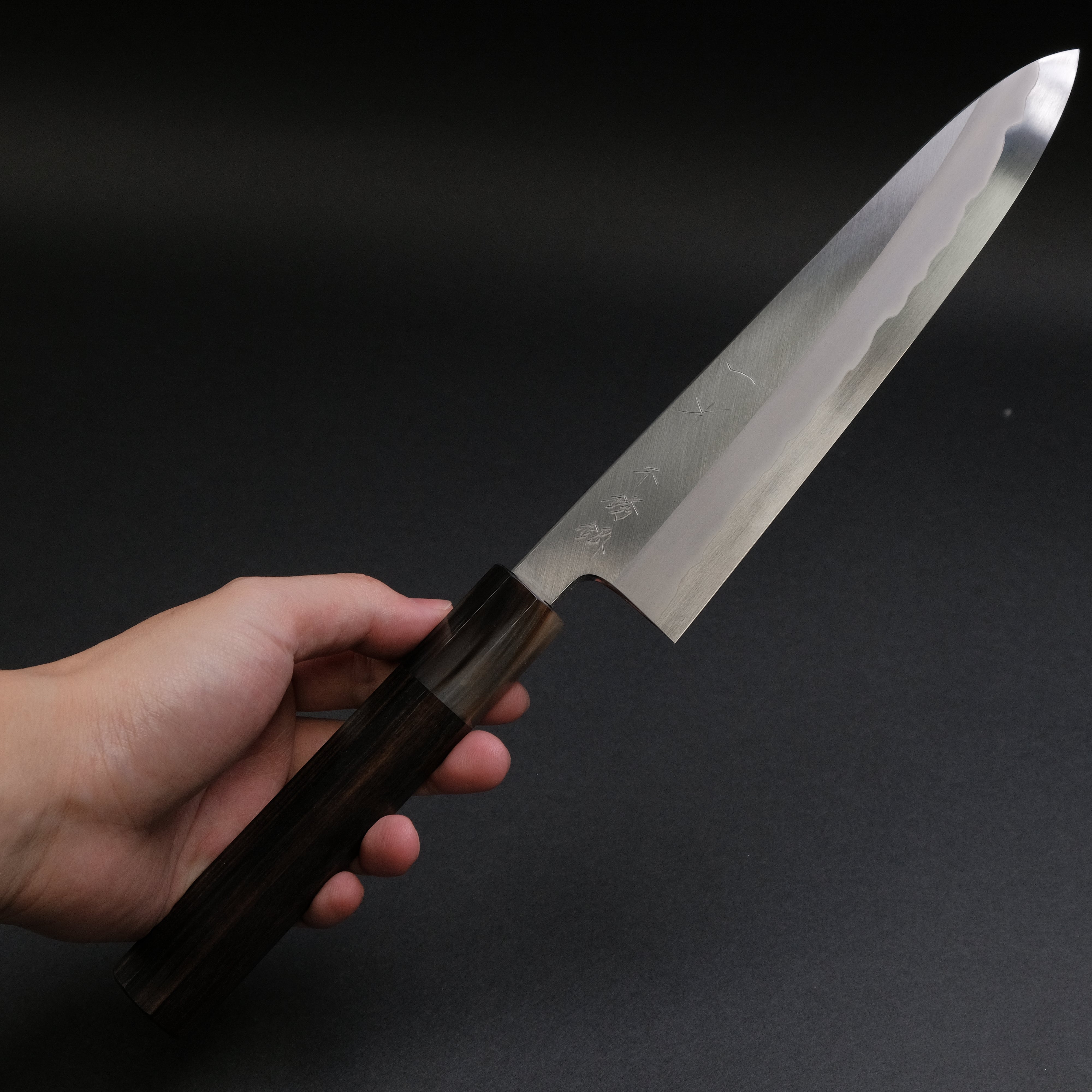 Hitohira Tanaka Kyuzo Blue #1 Stainless Clad Gyuto 210mm Japanese Chef Knife - Taihei Makassar Ebony Handle | Professional Kitchen Knife for Sushi, Meat Cutting & Food Preparation | Premium Discounted Chef's Knife