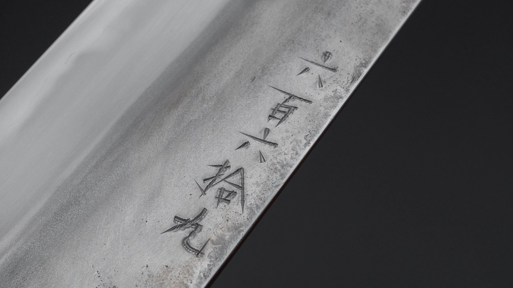 Premium Jiro Tsuchime Wa Gyuto 240mm Japanese Chef Knife with Taihei Tagayasan Handle (#669) - Perfect for Professional Chefs & Home Cooking, Sushi Preparation & Meat Cutting