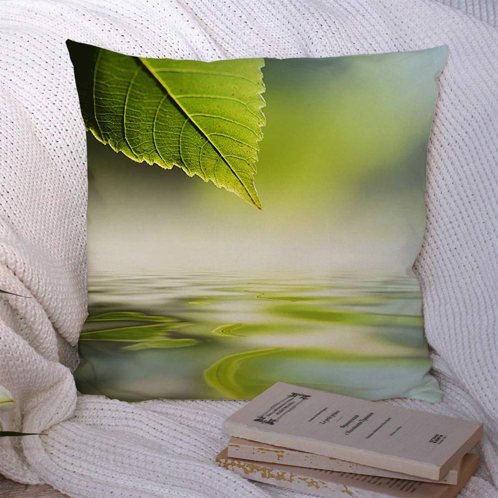 Decorative Polyester Throw Pillow Covers 20x20 Inch - Calm Green Leaf Zen Design with Reflecting River Water Closeup, Nature Inspired Square Cushion Covers for Sofa, Couch & Home Decor | Perfect for Living Room, Bedroom & Outdoor Relaxation Spaces