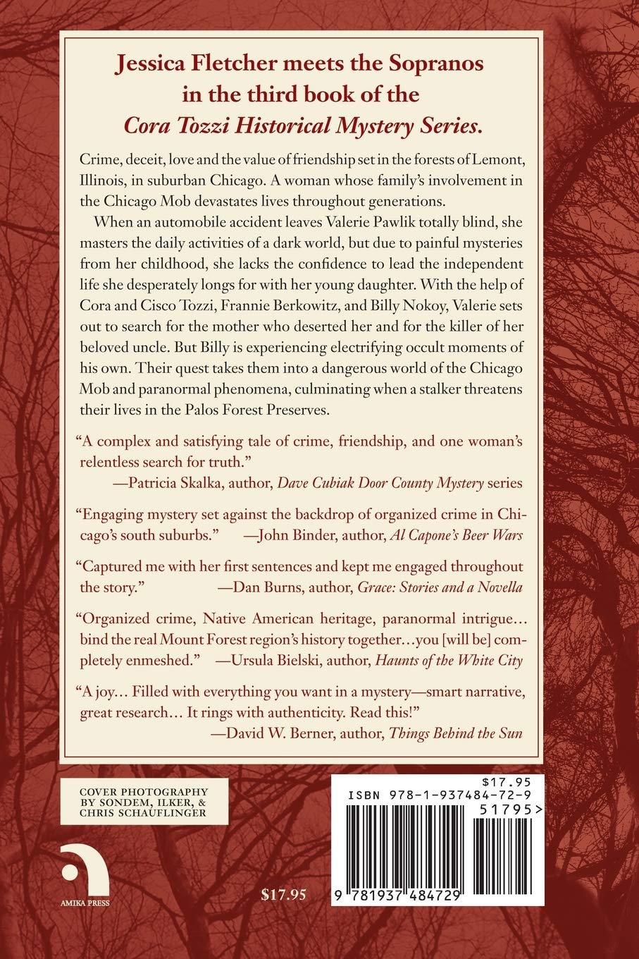 The Mystery at Mount Forest Island - Cora Tozzi Historical Mystery Novel | Adventure, Suspense & Intrigue | Perfect for Book Clubs & Mystery Lovers