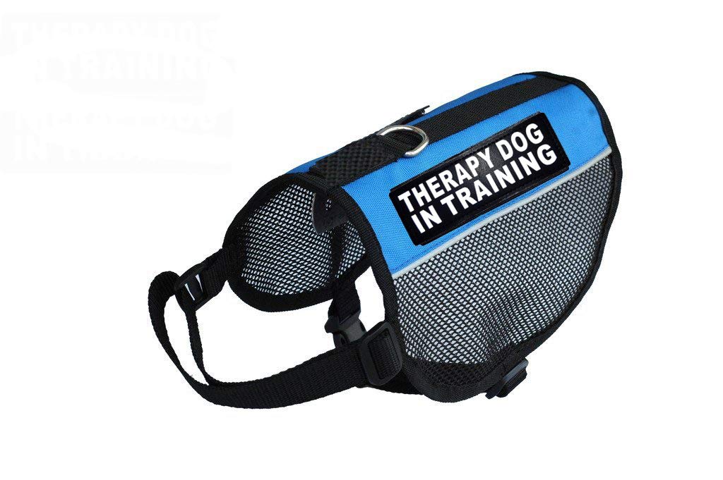 Therapy Dog Mesh Vest Harness - Cool & Comfortable Nylon with 2 Reflective Training Patches - Red XL (21-24 Inch) - Perfect for Service Dog Training, Emotional Support Animals & Outdoor Activities