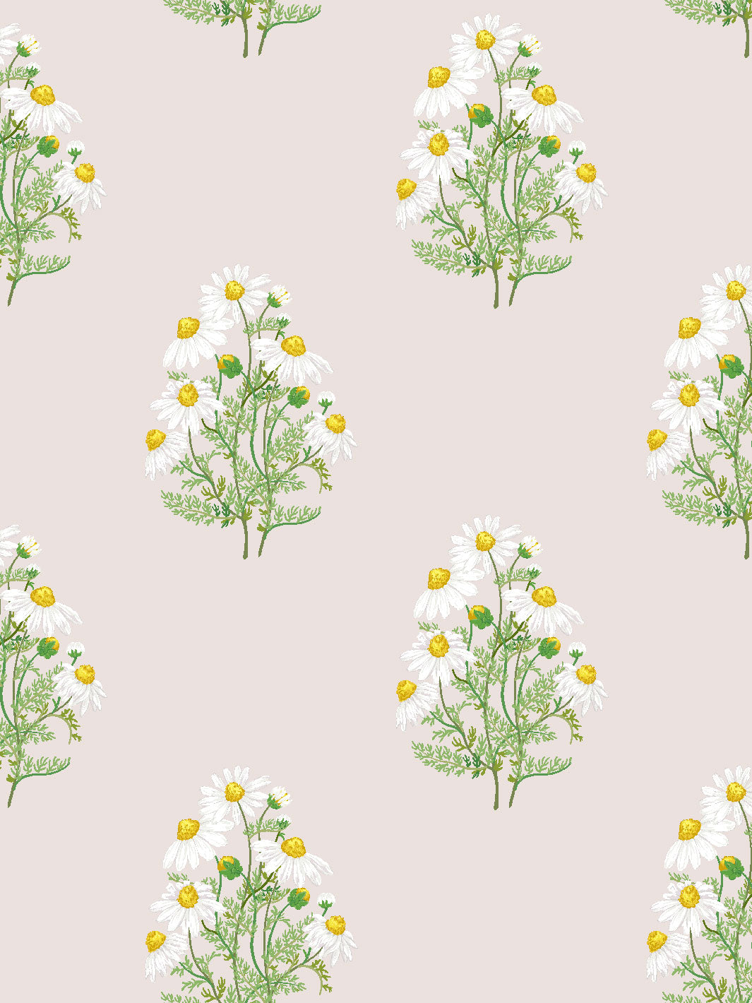 Sarah Jessica Parker Fleur De Camomille Wallpaper - Elegant Floral Peel & Stick Wallpaper for Bedroom, Living Room & Nursery Decor