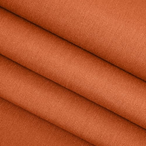 Canvas Rust