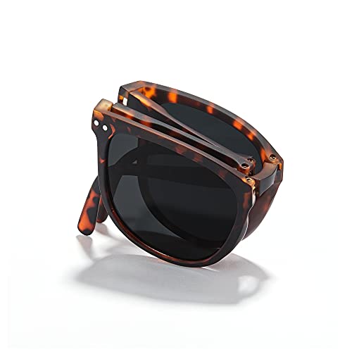 Foldable Sunglasses-black-3