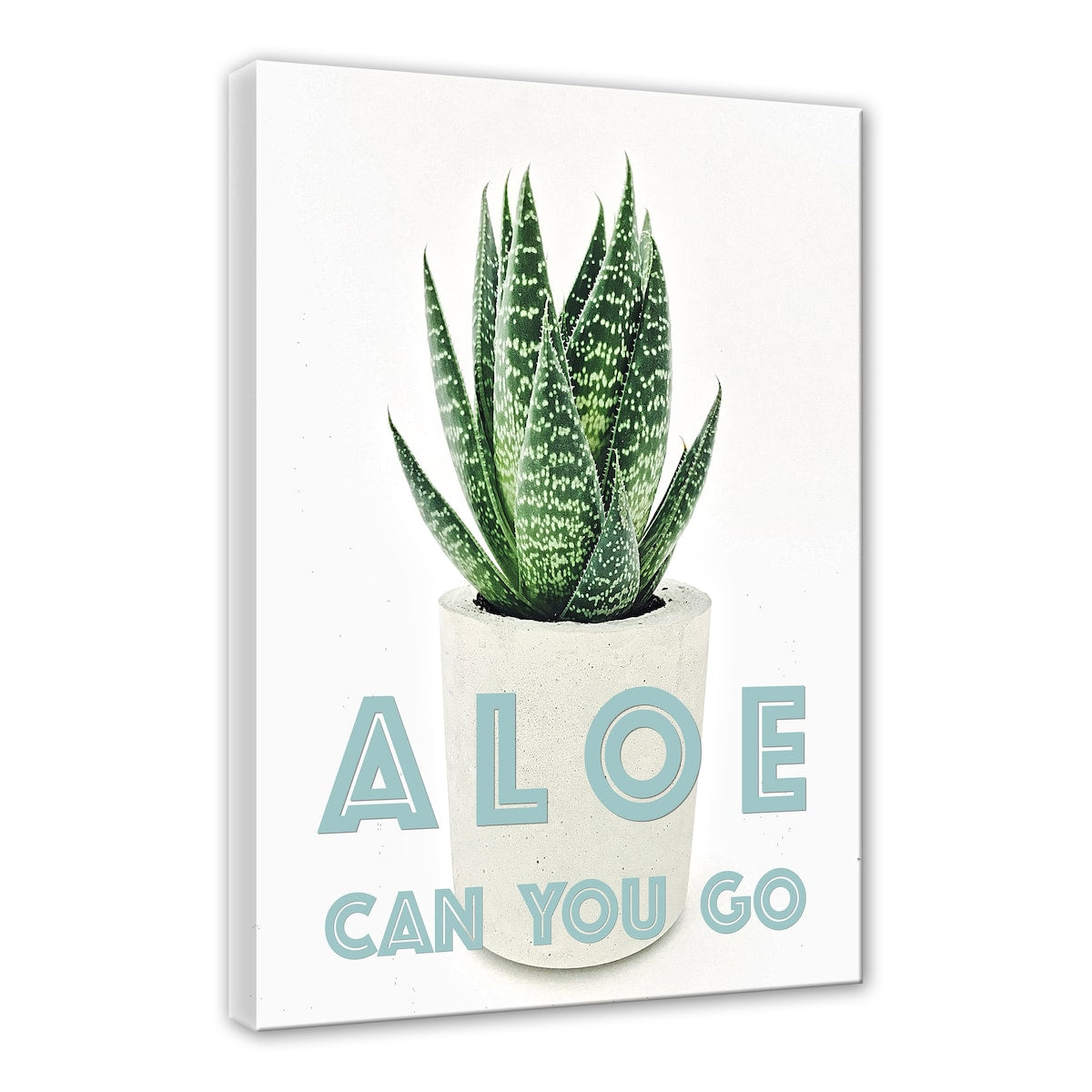 Aloe Can You Go Floral Gallery Wrapped Canvas Wall Art by Norman Wyatt Home - Perfect for Living Room, Bedroom & Office Decor