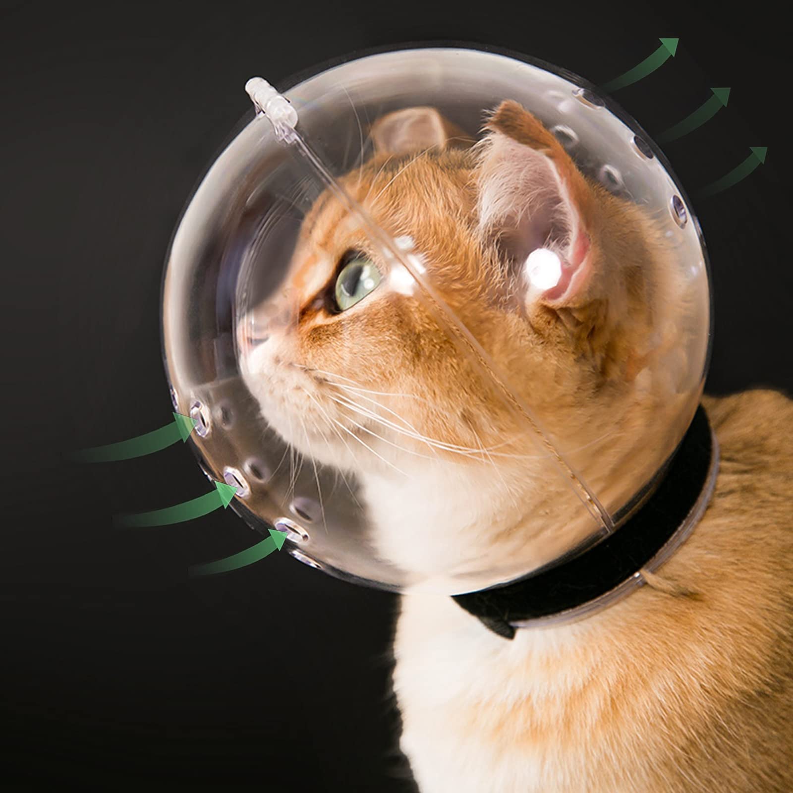 Breathable Transparent Cat Muzzle - Adjustable Kitten Astronaut Helmet for Biting & Grooming Prevention | Safe Cat Ball Mask for Aggressive Cats | Perfect for Vet Visits, Grooming & Travel