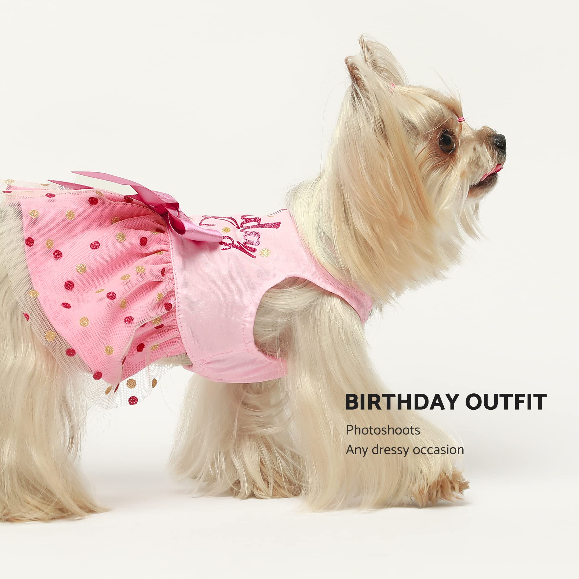 Fitwarm Pink Tulle Dog Dress for Small Dogs - Birthday & Party Outfit