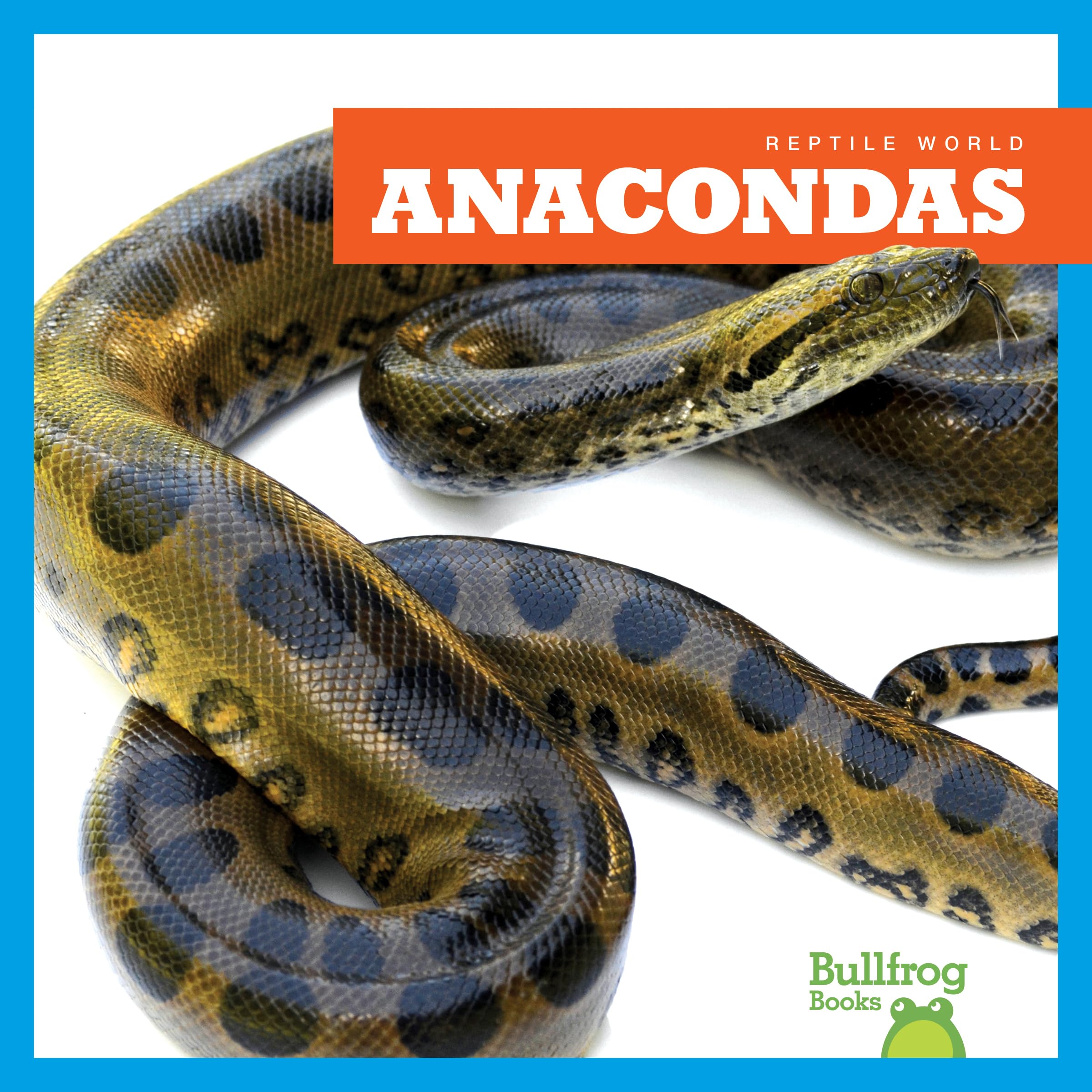 Anacondas - Bullfrog Books: Reptile World | Giant Snakes & Amazon Rainforest Reptiles | Perfect for Kids' Science Projects & Animal Lovers