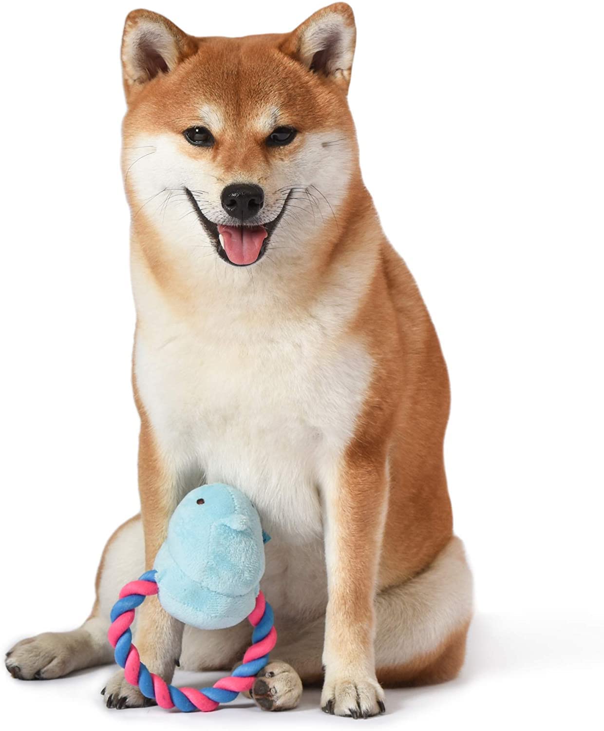 Peeps Squeaky Rope Dog Toys for Small & Medium Dogs - Blue Chick Design, Durable Chew Toy for Puppies & Adult Dogs - Perfect for Fetch, Tug of War & Interactive Playtime