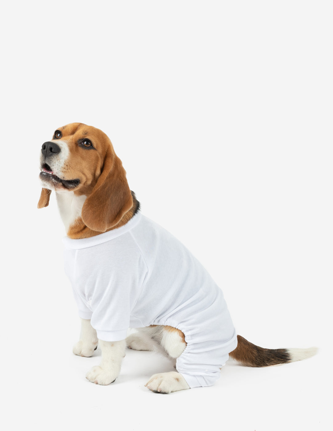 Solid Color White Matching Family Pajama Set - Cozy Cotton Sleepwear for Women, Men & Kids - Perfect for Christmas, Family Photos & Holiday Gatherings