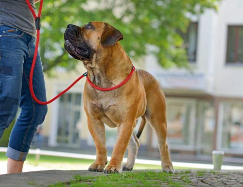 HUNTER Retriever Lead Rope for Dogs - Small Size, Durable Grey Nylon Training Leash - Perfect for Walking, Training & Outdoor Adventures