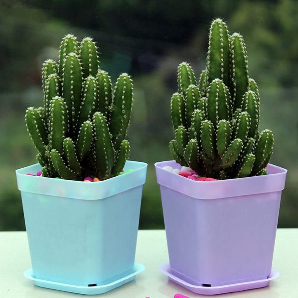 24-Piece Small Square Plastic Flower Pots Set - Housoutil Planters for Indoor/Outdoor Plants, Succulents, Herbs - Durable & Lightweight Garden Containers for Home Decor, Balcony, Office