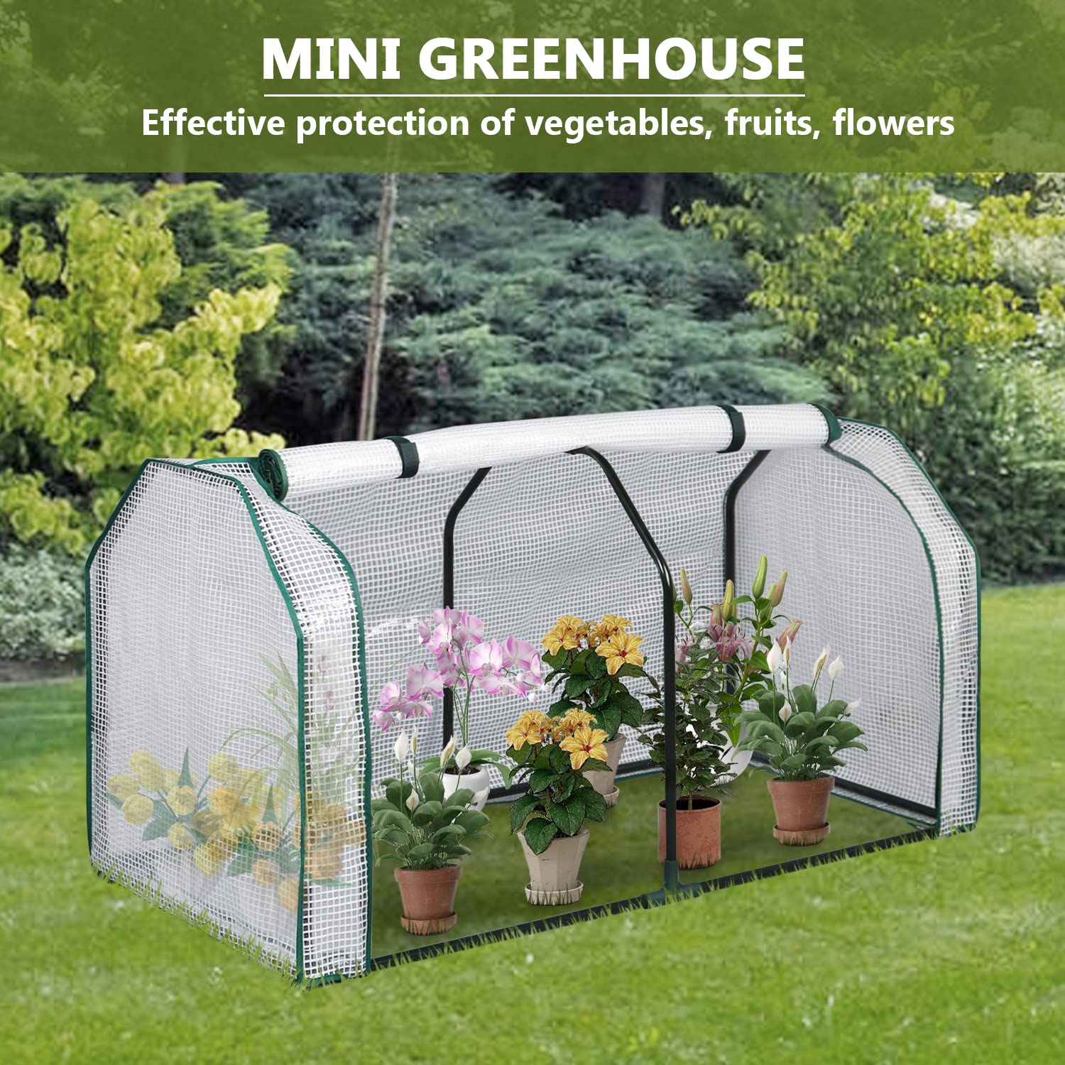 LYNSLIM 2-Pack Mini Greenhouse for Plants - 48