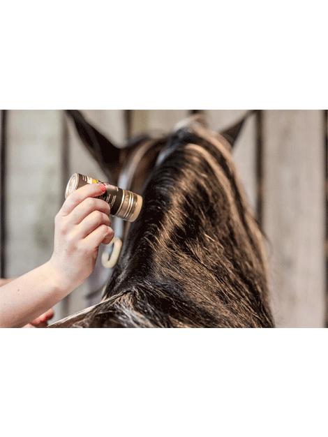 Best Smart Grooming Plaiting Wax for Horses - Long Lasting Mane & Tail Styling Wax - Perfect for Show Prep, Braiding & Daily Grooming
