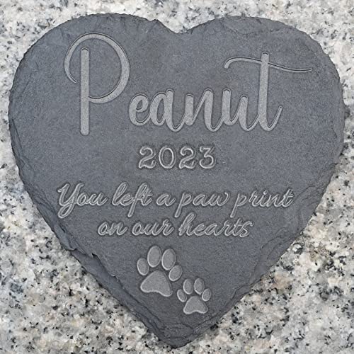 Pet-9