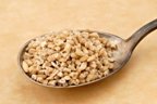 Organic Steel Cut Oats in Bulk (50 lbs) - Perfect for Baking, Breakfast Cereal & Healthy Meal Prep