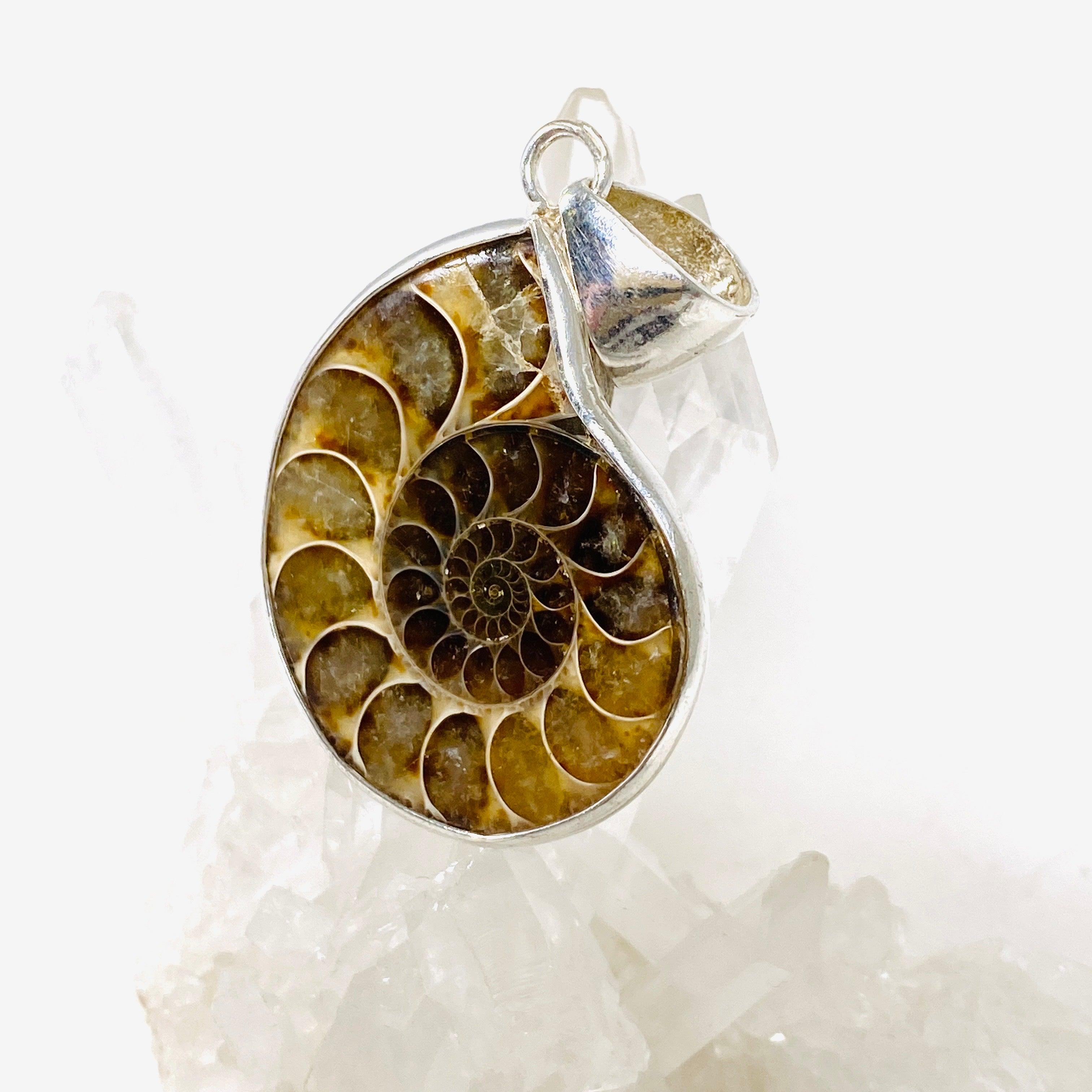 Natural Ammonite Shell Pendant Necklace - Unique Fossil Jewelry for Women & Men - Perfect for Boho Style, Spiritual Healing & Gift Giving
